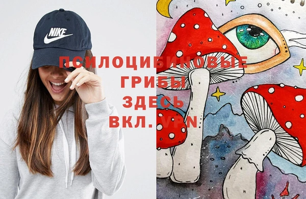 героин Ельня