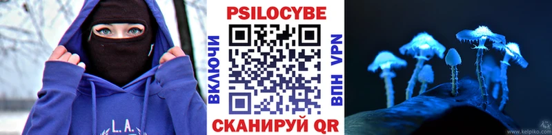 Галлюциногенные грибы мицелий Перевоз